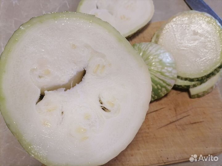Фицифолия, кабачок, тыква