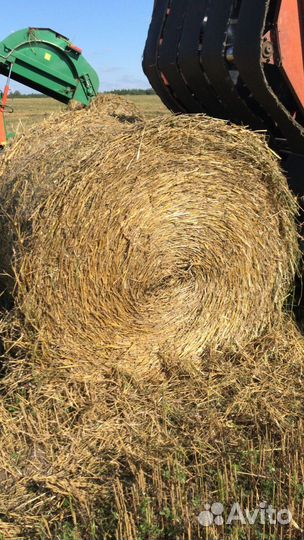 Солома пшеничная в тюках