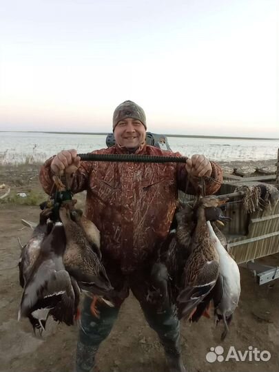 Организация охоты на водоплавающую дичь