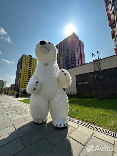 Белый мишка поздравление