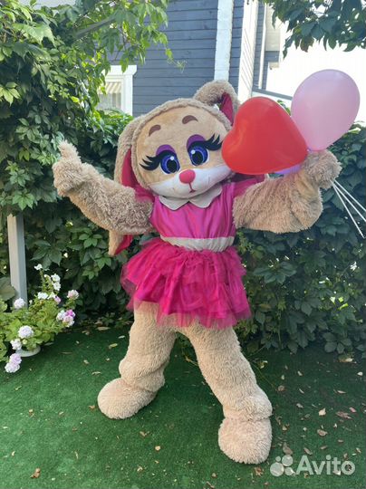 Ростовые зайка и котик/Аренда