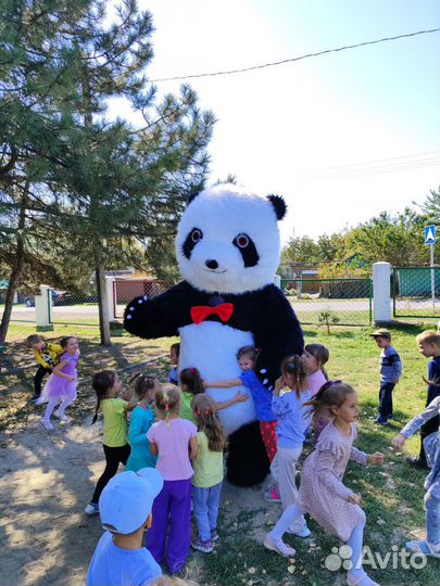 Надувной белый медведь 2.6м