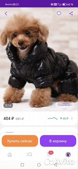 Комбинезон на мелкие породы собак