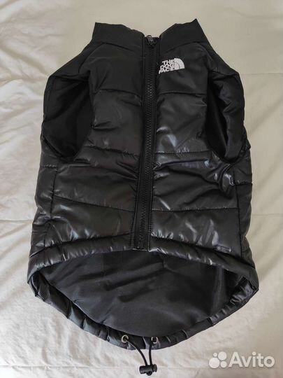 Жилет для собаки