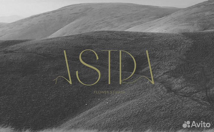 Графический дизайнер