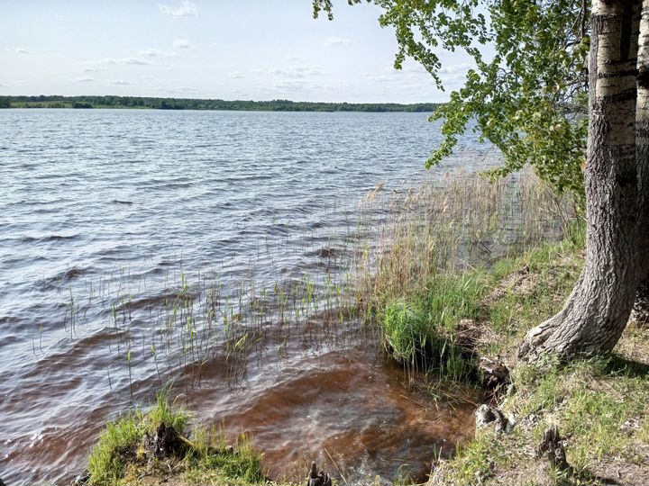 Участок 1,3 га (СНТ, ДНП)
