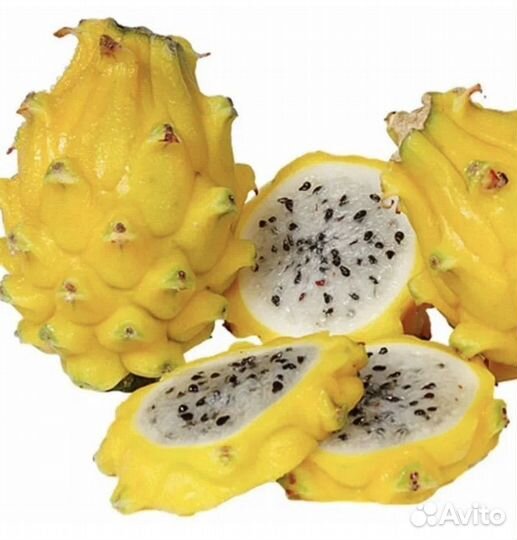 Питaхайя красная (мякоть) и желтая или дрэгон фрут