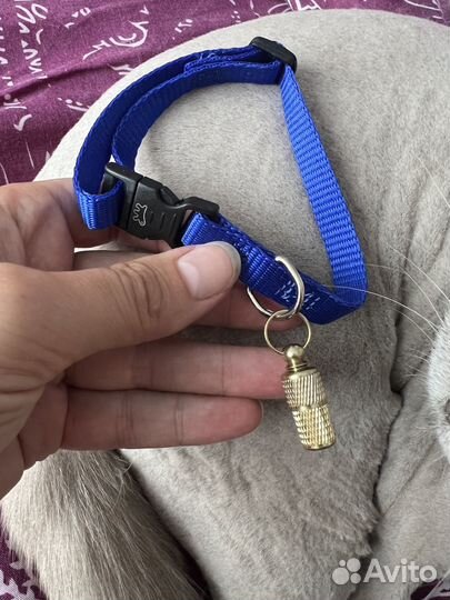 Ошейник для кошки или собаки с брелком