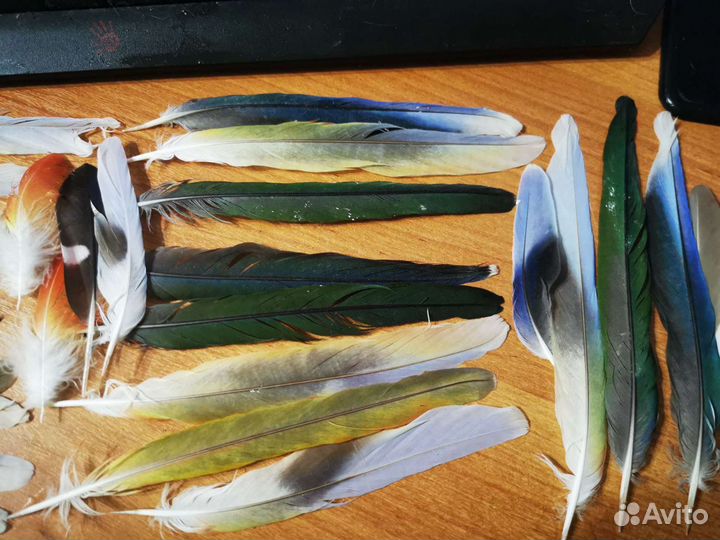 Перья для поделок и шляп