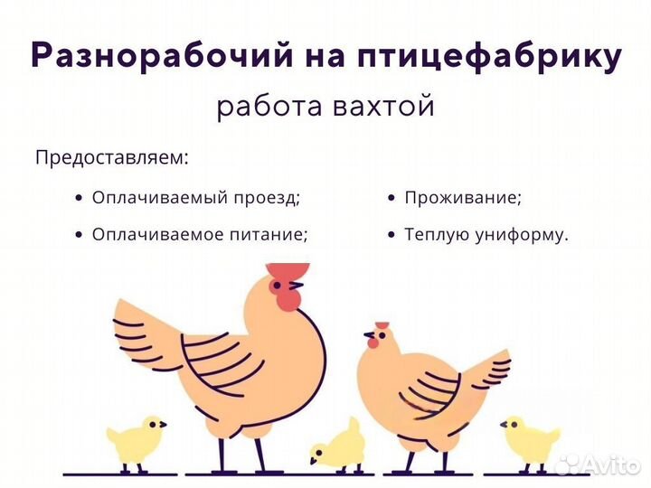 Разнорабочий вахтой на птицефабрику