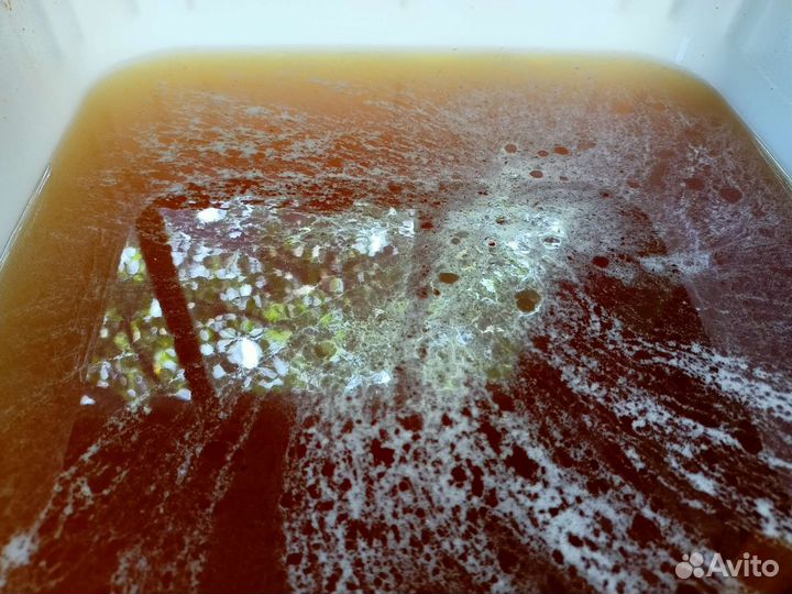 Мёд, мёд в сотах, перга