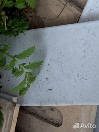 Кафельная плитка