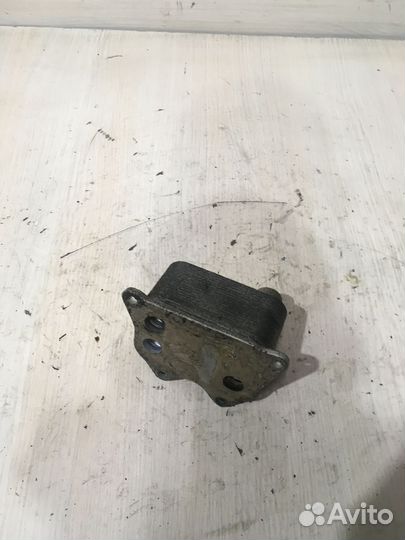 Радиатор масляный Фольксваген пассат Б6