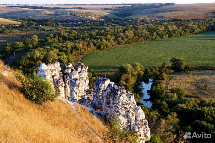 Натуральный Мёд из Дивногорья (разнотравье)