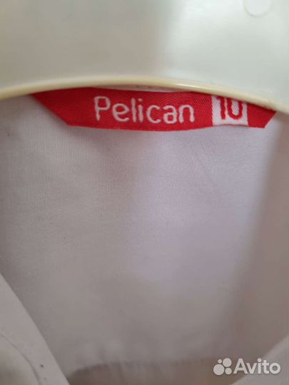 Рубашка Pelican