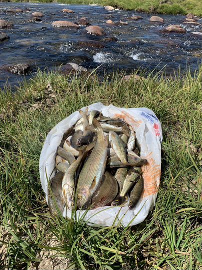 Участок 3,5 га (СНТ, ДНП)