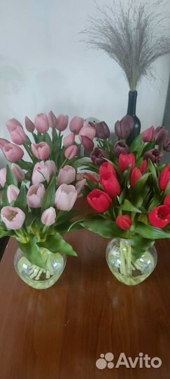 Цветы тюльпаны