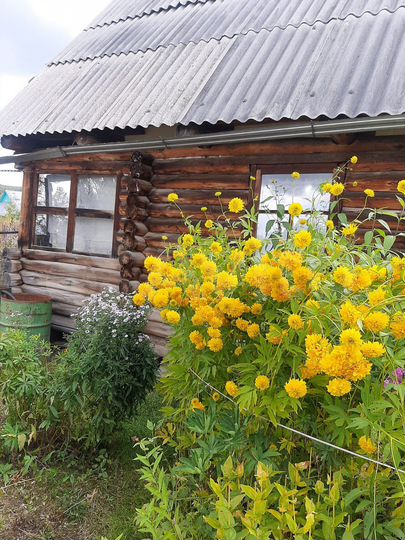 Участок 5,5 сот. (СНТ, ДНП)