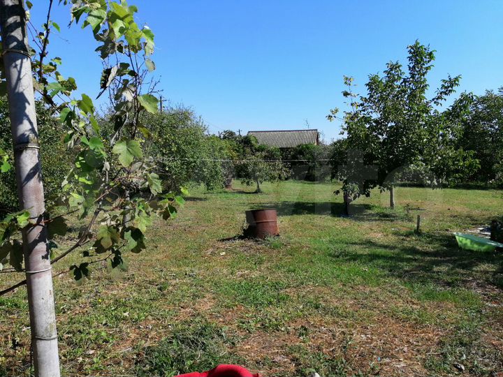 Дача 50 м² на участке 10,6 сот.