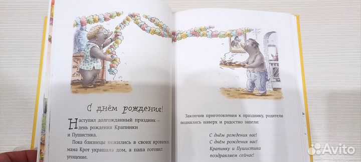 Бёрни Бос. Озорная семейка. Художник Де Беер Ханс