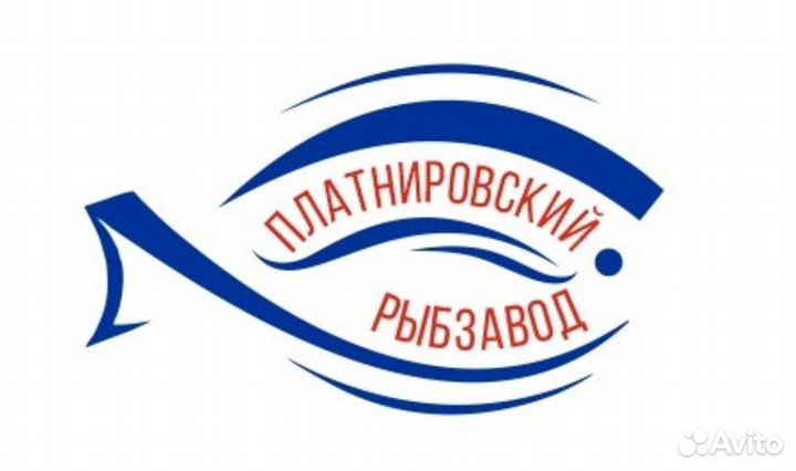 Водитель экспедитор