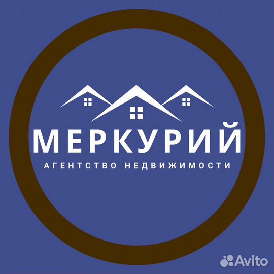 Агентство недвижимости Меркурий