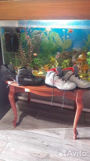 Ботинки лыжные