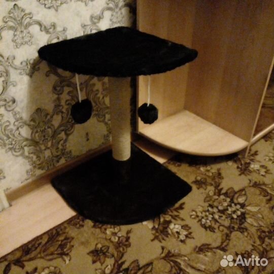 Когтеточка