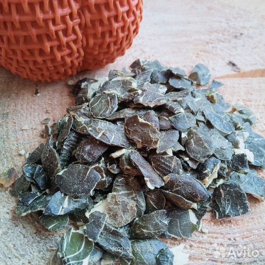 Семена штирийской тыквы (Жмых)