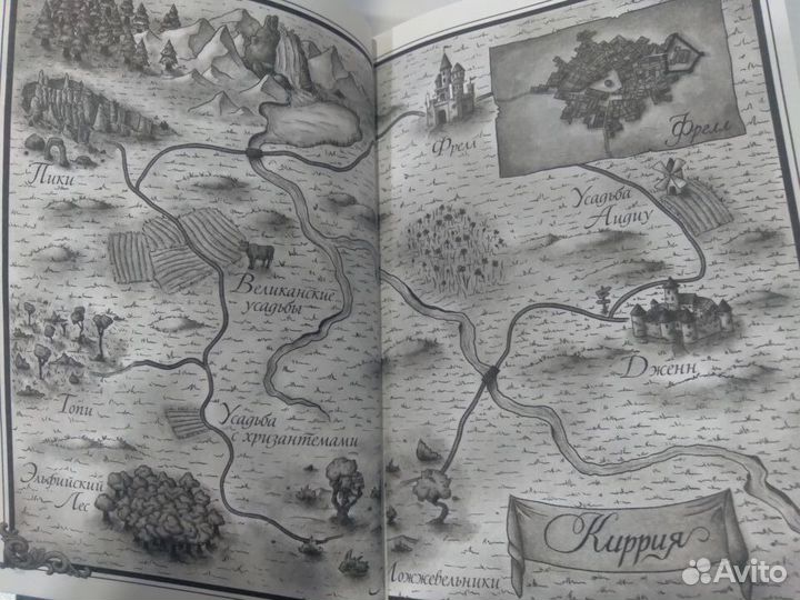 Зачарованная Эви. Книга