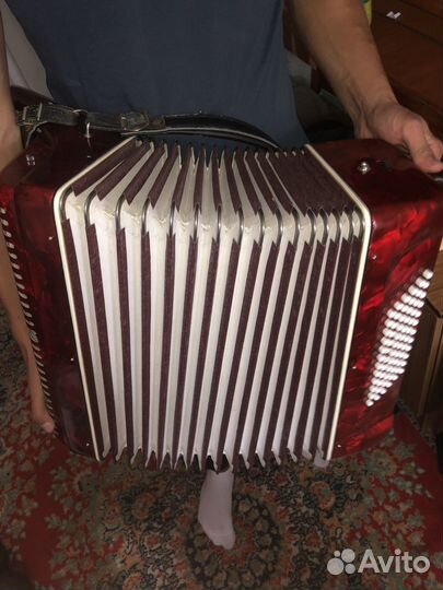 Французский баян