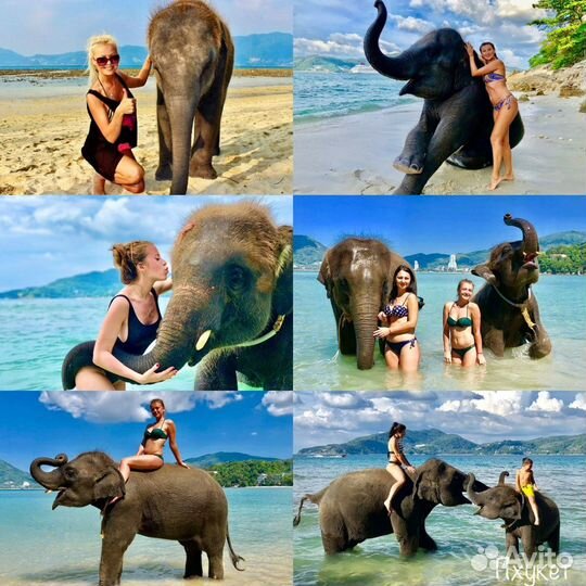 Индивидуальные экскурсии на Пхукете. Орёл и Решка