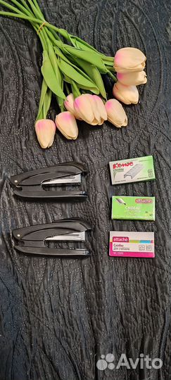 Степлер maped со скобами