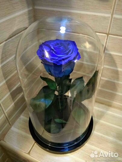 Розы в колбе размер премиум 28 см темно-синий