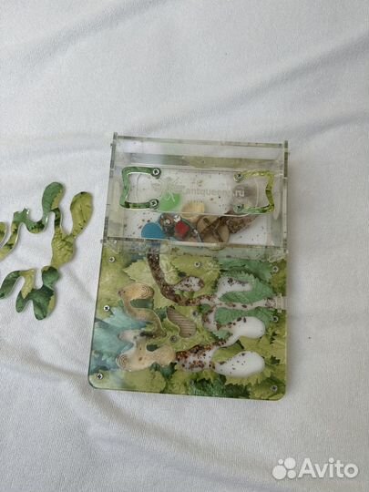 Муравьиная ферма бу