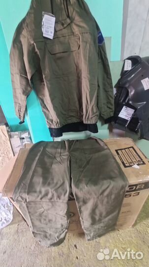 Энцефалитка