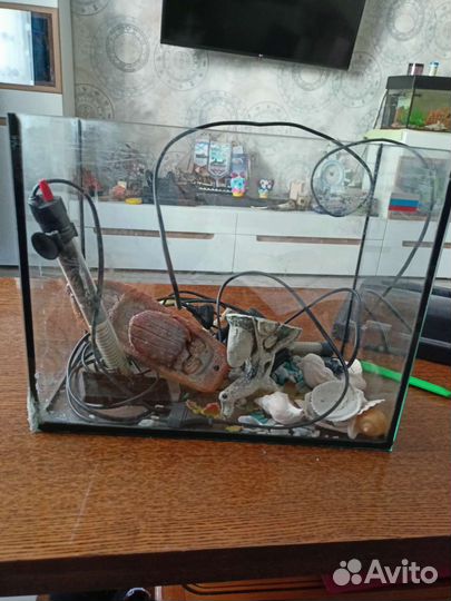 Аквариум
