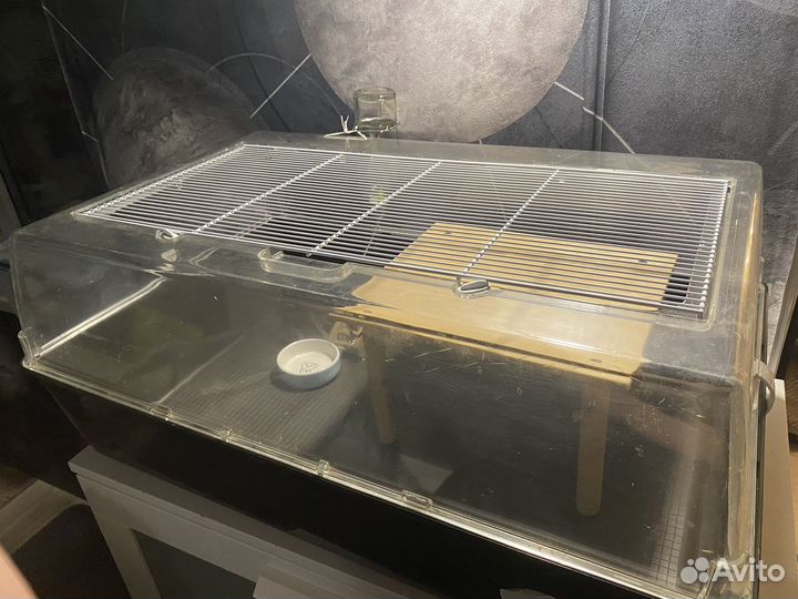 Дюна клетка для грызунов (морской свинки)