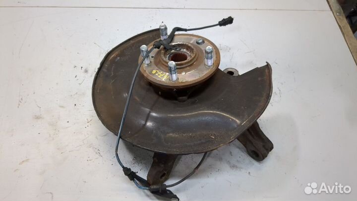 Ступица (кулак, цапфа) Acura MDX, 2009