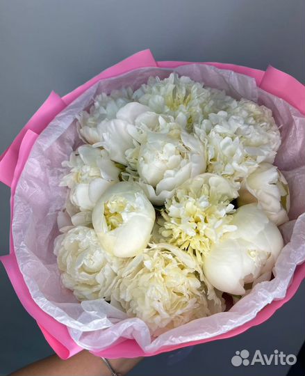 Белые пионы