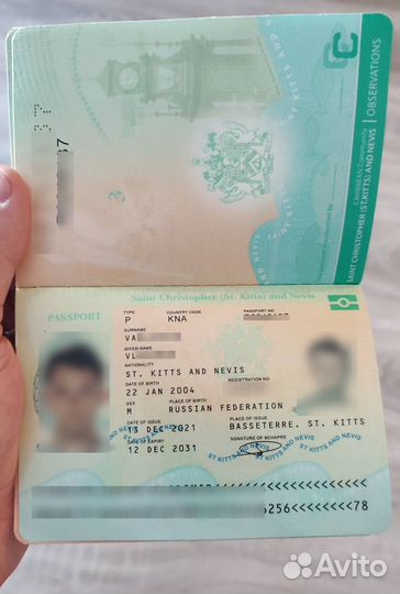 Гражданство Чехии и других стран