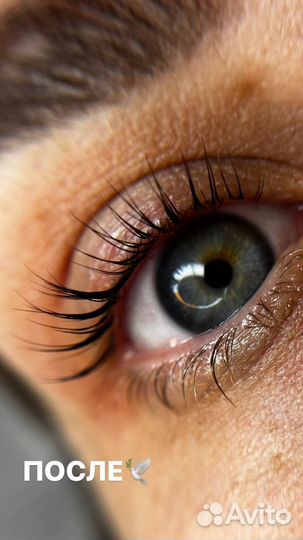 Ламинирование ресниц, брови, маникюр