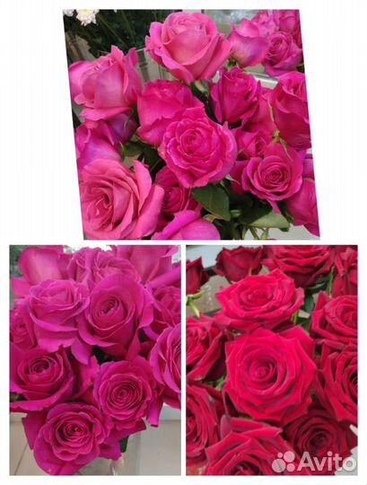 Цветы розы и букеты