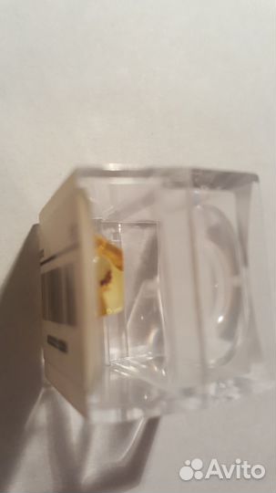 Янтарь с инклюзами