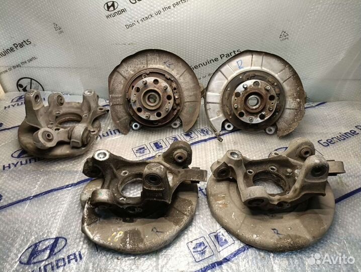 Кулак задний правый equus quoris genesis