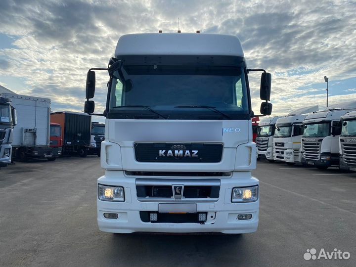 КамАЗ 5490, 2017