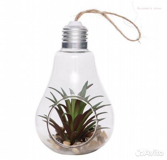 Ваза суккуленты флорариум лампа