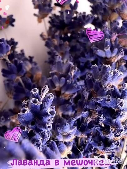 Лаванда в мешочкн