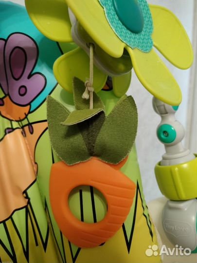 Развивающая дуга tiny love