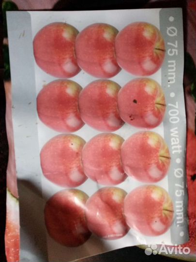 Соковыжималка